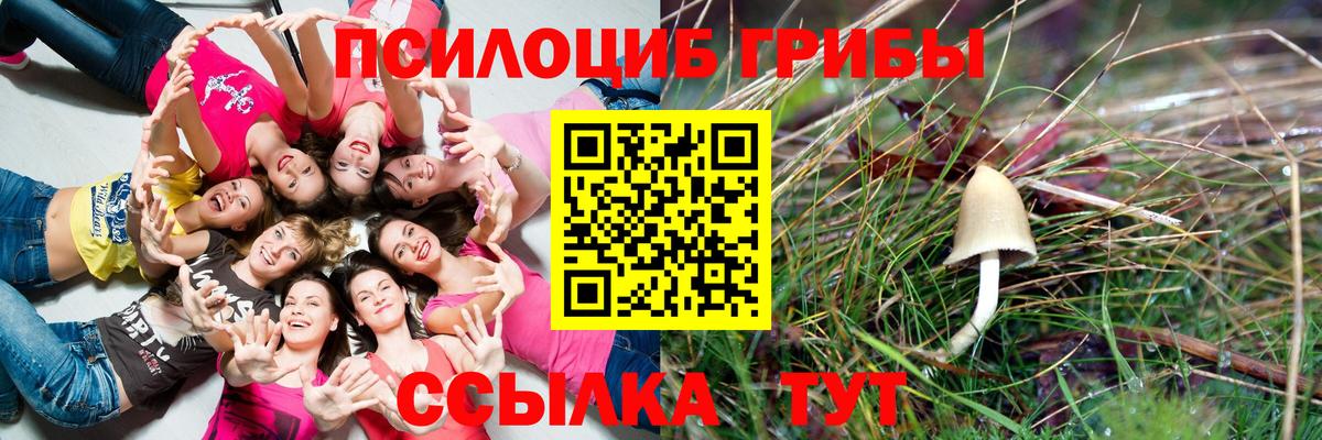 Псилоцибиновые грибы мухоморы Камень-на-Оби