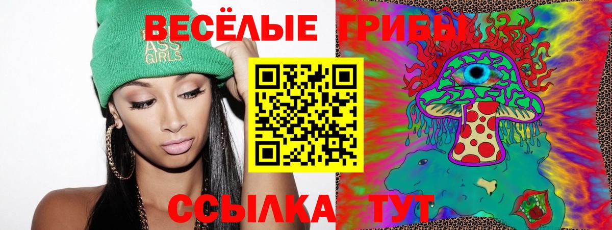 Псилоцибиновые грибы Psilocybine cubensis  Вход с VPN  Камень-на-Оби 